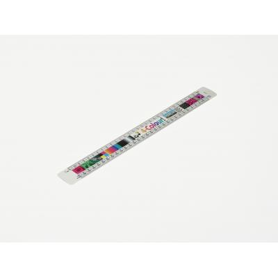 Image of Oval Scale Ruler 12"